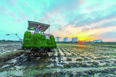 农民镜头里的新时代