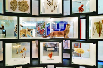 墨西哥国家生物多样性馆将对外开放