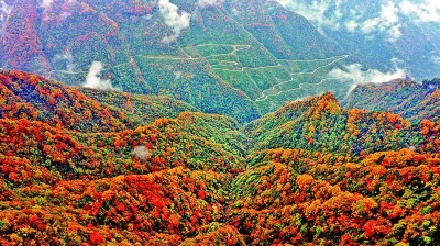 层林尽染