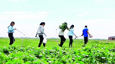 黄河安澜，“幸福水”润泽新生活