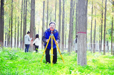 “长”在树上的读书人——走进学在山林、扎根在山林的林学青年
