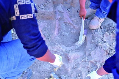 内蒙古阿拉善盟马鬃山地区发现较为完整恐龙幼体化石
