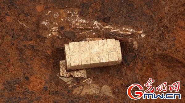 文博深1°丨已知岭南最大新石器时代聚落遗址，没有之一！这里还保存了木质葬具残痕