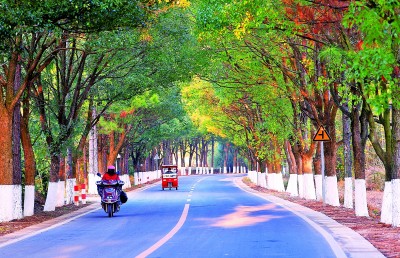 四好农村路助力乡村振兴