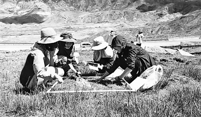 西部地区如何破解人才“马太效应”