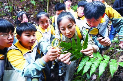 江西靖安：白云深处的山水秘境