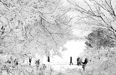 吉林：松花江边赏雾凇