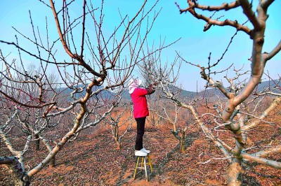 让每一垄耕地都成丰收沃土