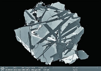 中国科学十大进展入选理由