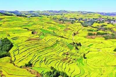 乡村振兴风貌新