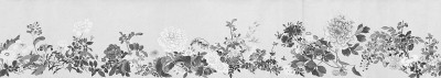 物候有节律，苒苒其华