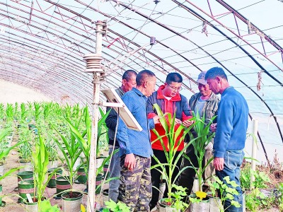 东西亘万里 学人竞春耕