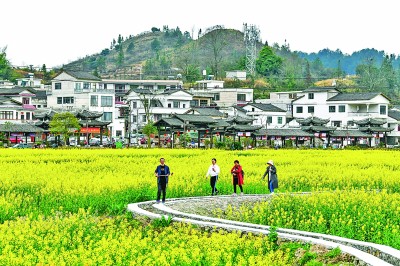 回村去！尋找鄉(xiāng)土中國(guó)的“活力密碼”