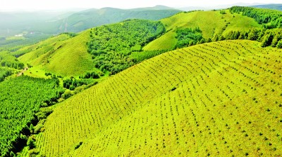 植綠護(hù)綠，讓錦繡河山造福人民