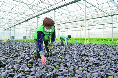 安徽合肥：防疫生产两手抓