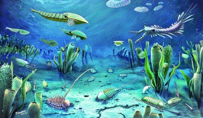 科学家发现5亿年前临沂动物群 打开探索寒武纪演化动物群新窗口