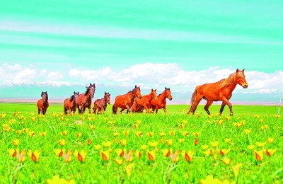 新疆：春風十里 陌上花開