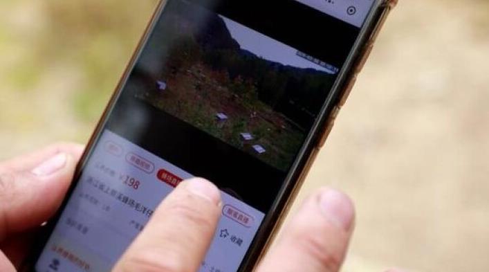 一起跨越看泰顺·共富故事 | 泰顺探索中蜂“三产融合”发展模式 小小一瓶蜜 酿出“大产业”