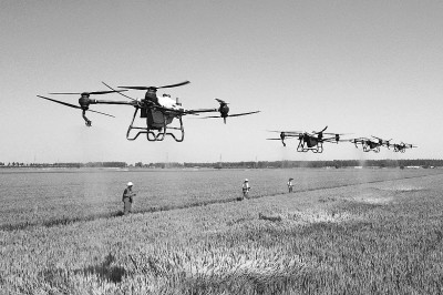 江苏省宿迁市泗洪县：开展统防统治植保服务 力促夏粮丰产增收