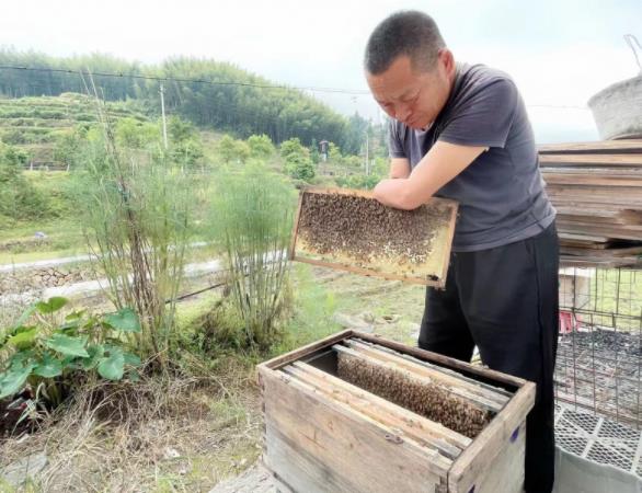 浙江泰顺“十百千计划”惠及3000低收入农户，两年来落实补助资金1200万余元