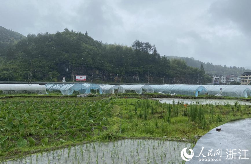 一起跨越看泰顺·共富故事丨共富金融专员精准助力“扩中”“提低”