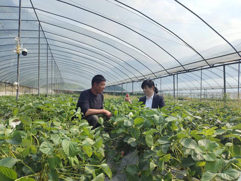 一起跨越看泰顺·共富故事丨共富金融专员精准助力“扩中”“提低”