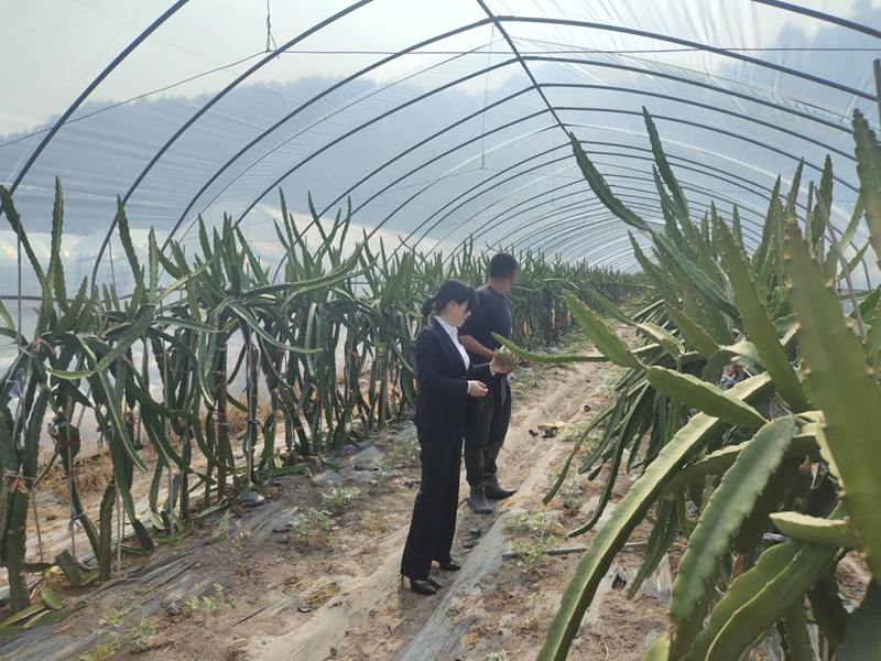 一起跨越看泰顺·共富故事丨共富金融专员精准助力“扩中”“提低”