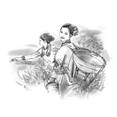 山歌飞过绿崖