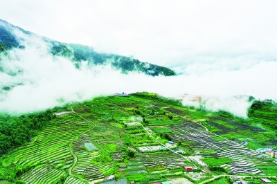 美丽高原 幸福西藏