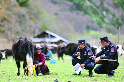 美丽高原 幸福西藏
