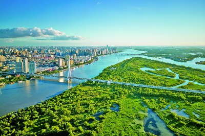 【大美中国】湿地画卷