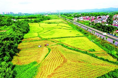 让乡亲们过上令人羡慕的田园生活——江西赣州打造革命老区共同富裕先行区的实践探索