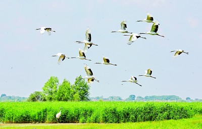 用好传统生态习惯法 提升生态系统多样性
