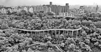 慢行步道