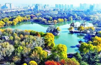 【大美中国】建设森林城市 拥抱绿色生活