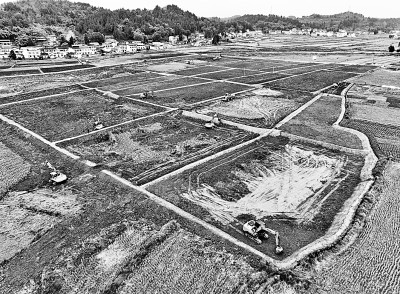 四川蓬安加紧推进高标准农田建设