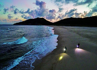 海龟“产床”守护记