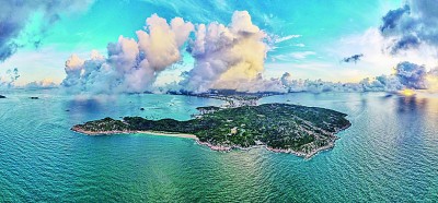 海龟“产床”守护记
