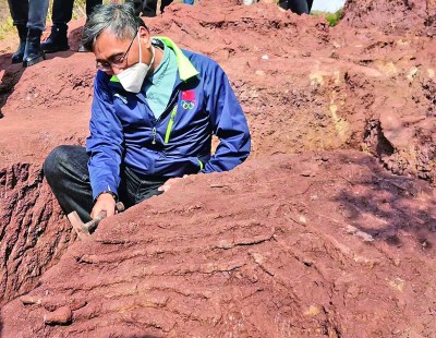 穿越1.9亿年的“恐龙”来看你——云南大规模抢救性发掘恐龙化石纪实