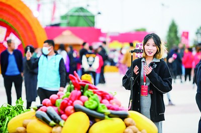 网络文艺为可爱家乡增添一抹华彩