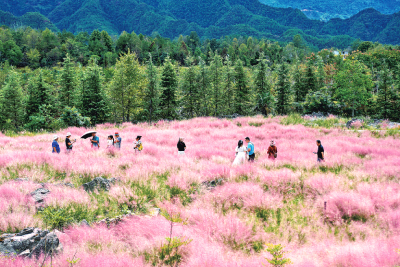 “小山村”何以惊艳“大世界”