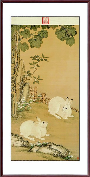 兔子是兽吗