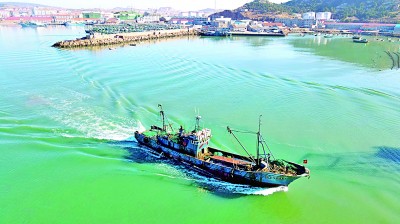 山东荣成春季海上渔业生产正式拉开序幕