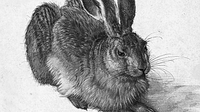 英国诗人谈“兔”不凡
