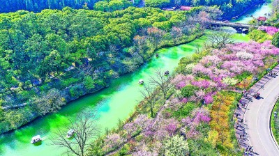 【大美中国】神州大地春来早