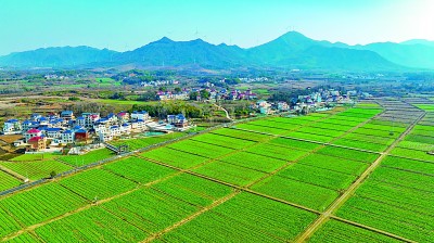 【大美中国】田畴沃野春意浓