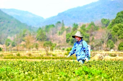 农技人员喷洒农药