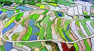 【大美中国】春耕美景