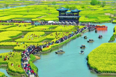江苏兴化：千垛花海画中游