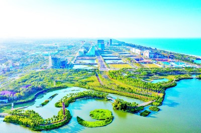 海南：自贸港建设掀起新高潮